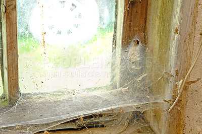 Buy stock photo Closeup of an old window with webs and dirt in an abandoned home. Zoom in on wooden frame, texture and design of a messy timber wood styled window with macro details of a dusty, dirty surface 