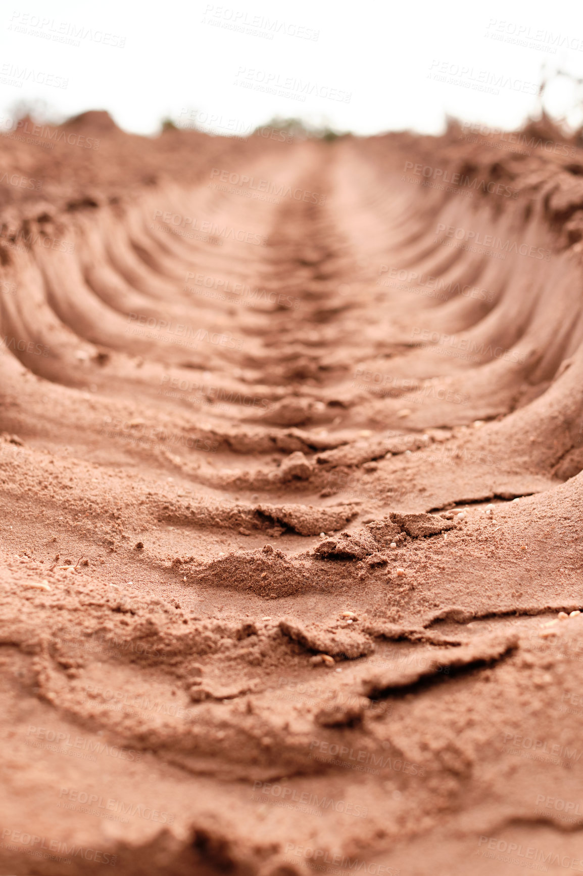 Buy stock photo Shot of a sandy furrow on a farm