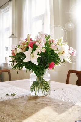 Buy stock photo Vibrant bunch of blossoms displayed for interior decoration. Colorful bouquet in a vase on a table at home with lens flare. Fresh peruvian and easter lily flowers blooming with green foliage. 