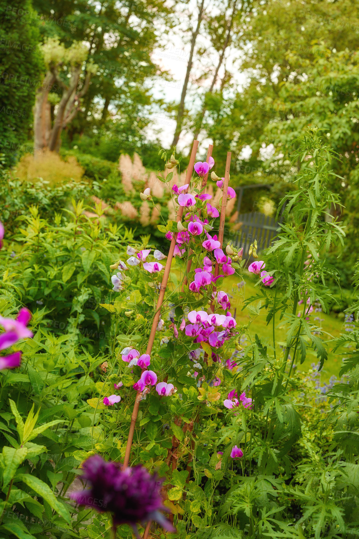 Buy stock photo A series of beautiful garden photos