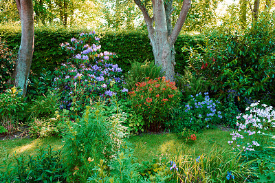 Buy stock photo A series of beautiful garden photos