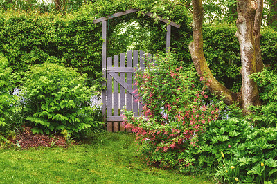 Buy stock photo A scenic garden landscape wrapped in greenery, bushes, flowers and trees. A beautiful backyard setting in the springtime. Small arched wooden gate surrounded by flowers, trees and greenery