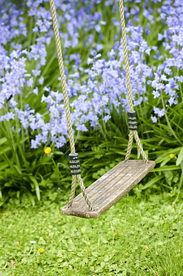 Buy stock photo Empty swing hanging in a relaxing garden with an outdoor view of nature in Spring. Beautiful backyard playground with colorful flowers and a lawn of green grass. Wooden park bench in a quiet forest.