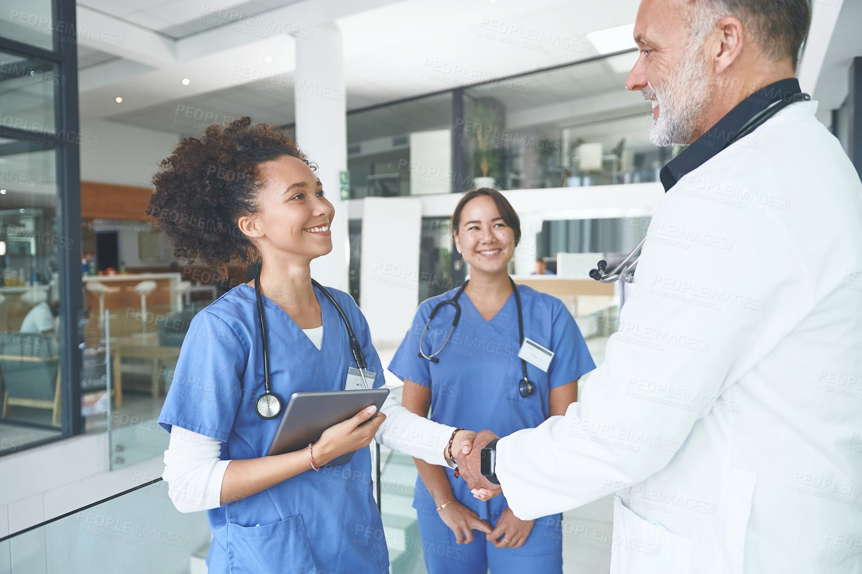 Buy stock photo Cropped shot of an attractive young nurse standing and shaking a doctor's hand in the clinic