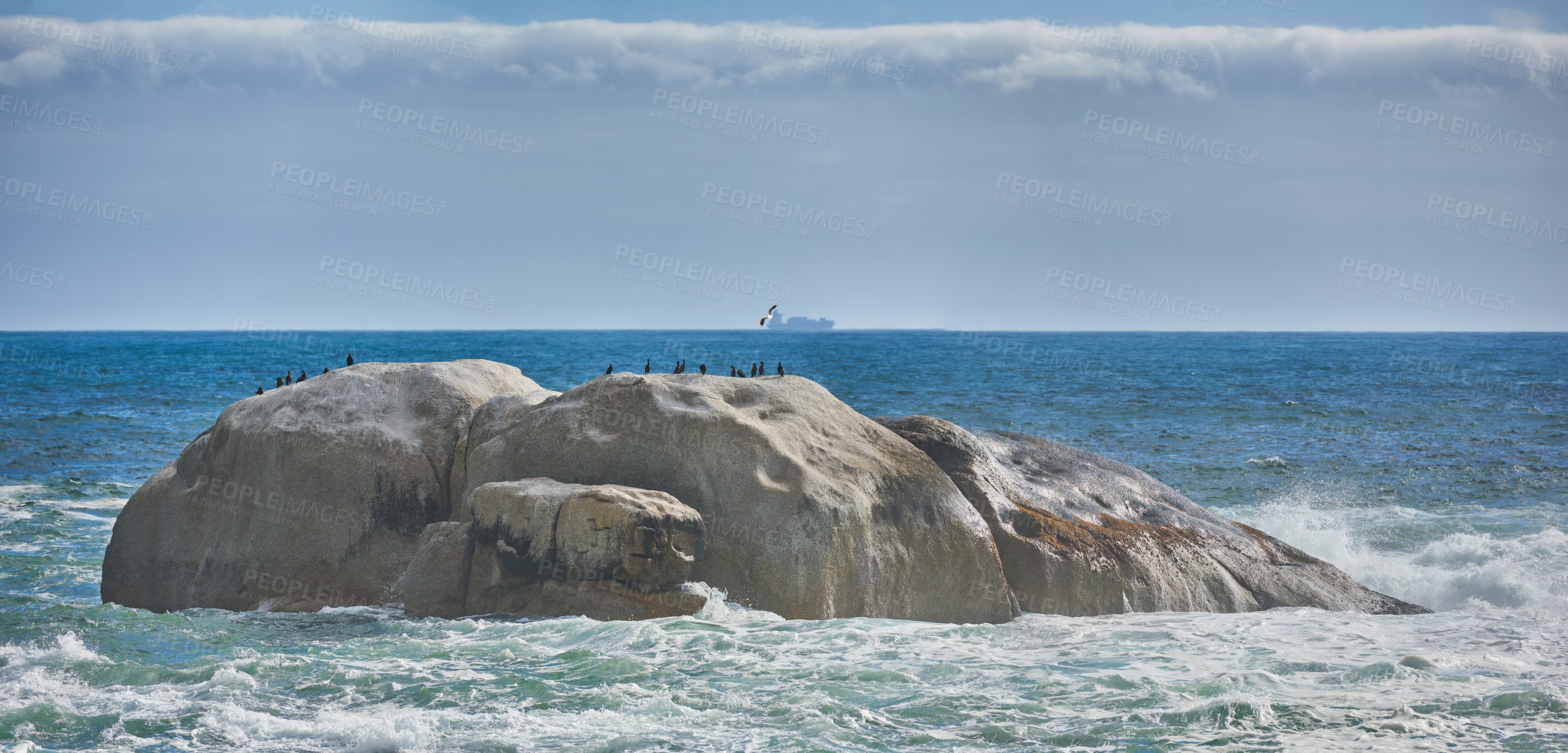 Buy stock photo Seagulls resting on a big rock in blue water in South Africa with copy space. Ocean waves washing birds off large boulder in Cape Town. Scenic seascape against a calm horizon on a sunny, peaceful day