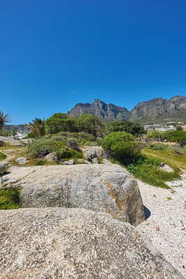 Buy stock photo Landscape view of rocky coast beach of Camps Bay towards Table Mountain. Life in the outdoors of Cape Town. Path to beautiful rocks, sand and lush green trees with a clear blue sky.