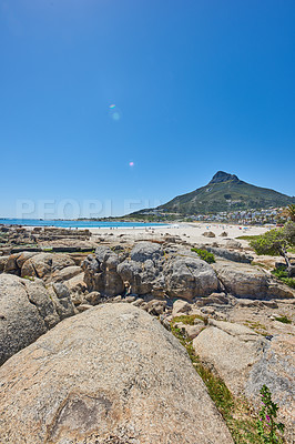 Buy stock photo Vibrant beach near rocky shore and mountains on blue sky background with copy space. Bright summer with tourists tanning under the sun and enjoying the stunning view of Lions Head mountain, Cape Town