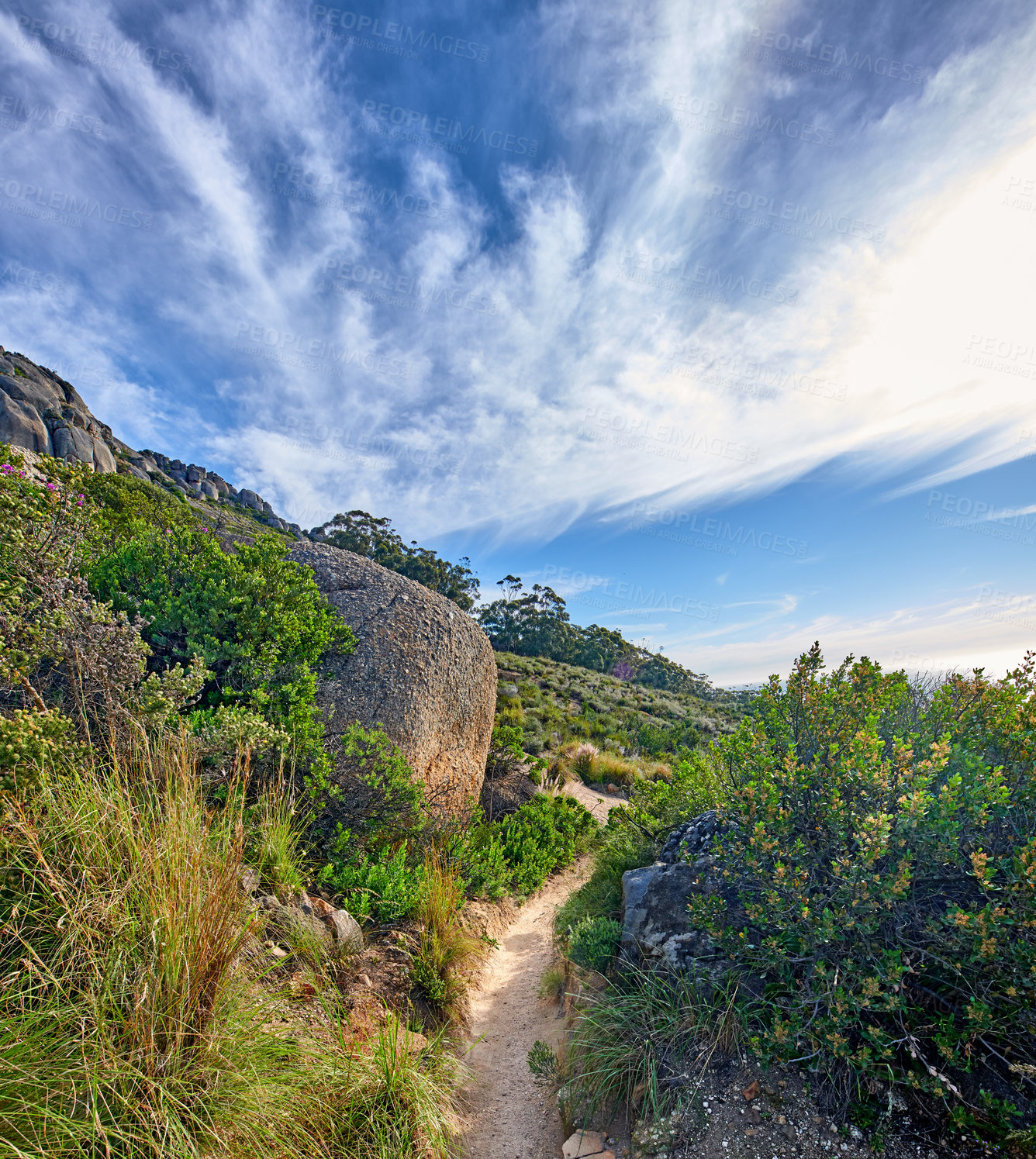 Buy stock photo Mountain trail - Table Mountain National Park, Cape Town, Western Province, South Africa