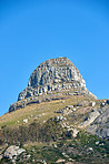 Lion's Head