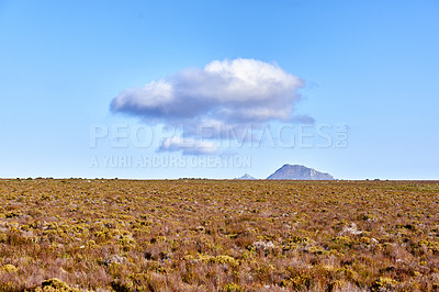 Buy stock photo The wilderness of Cape Point National Park, Western Cape, South Africa