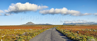 Buy stock photo Road through the wilderness of Cape Point National Park, Western Cape, South Africa