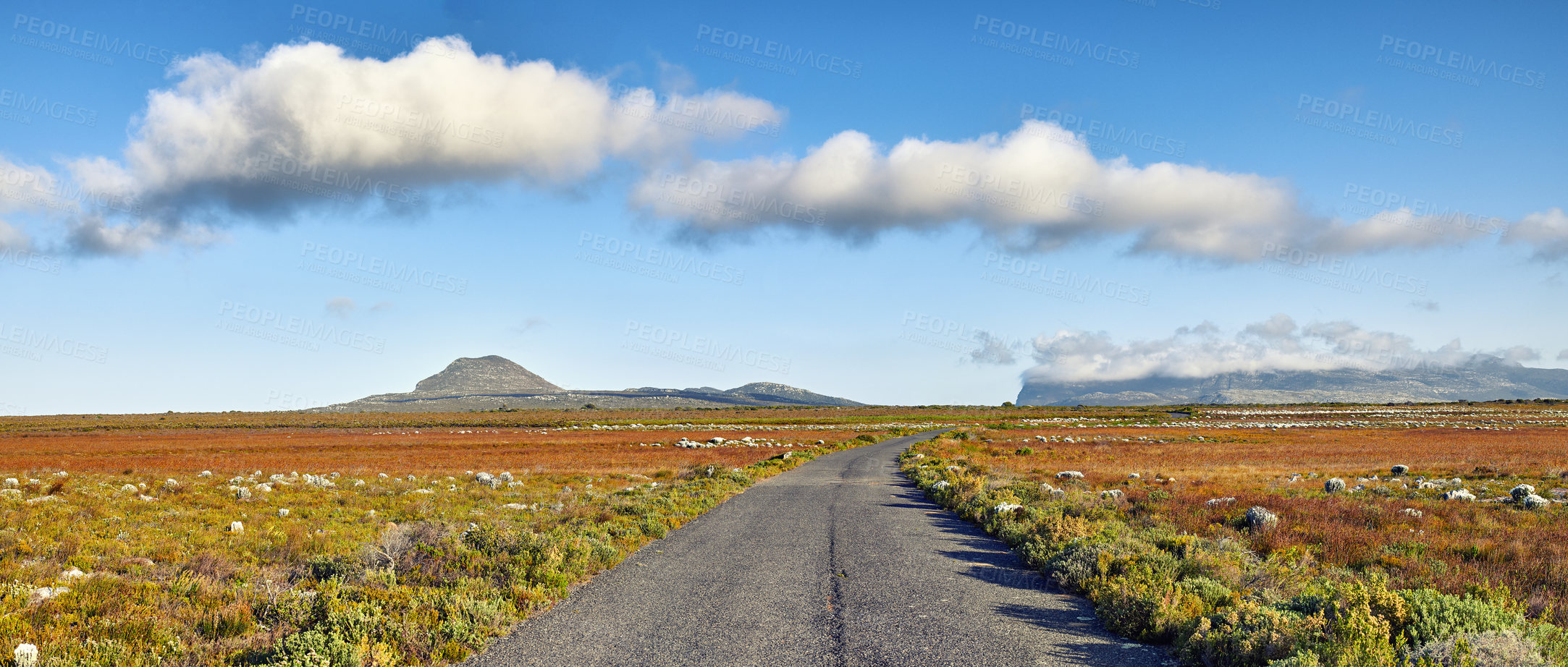 Buy stock photo Road through the wilderness of Cape Point National Park, Western Cape, South Africa