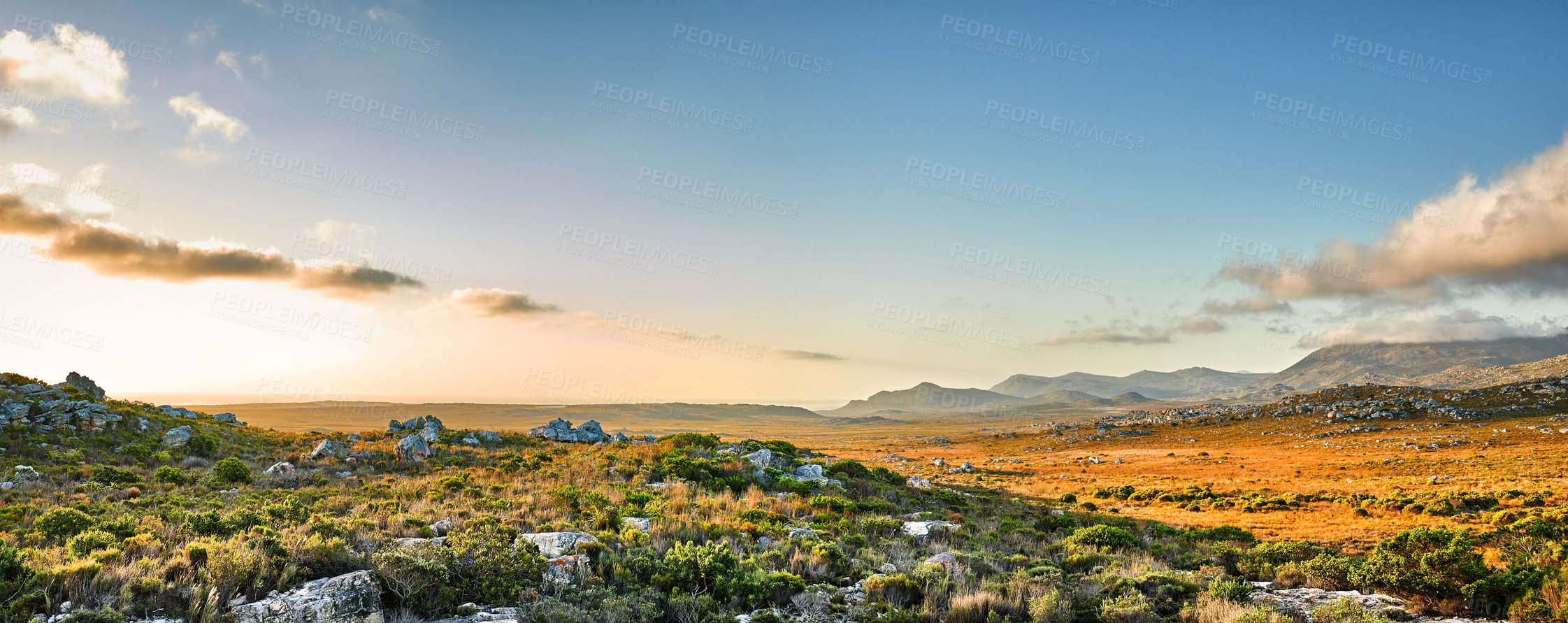 Buy stock photo The wilderness of Cape Point National Park, Western Cape, South Africa