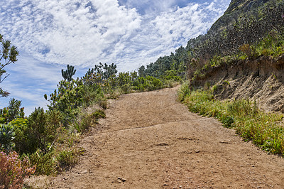 Buy stock photo Peaceful mountain trail with bushes and plants with a cloudy blue sky. A popular destination for adventure walks in nature on Table Mountain National park in Cape Town South Africa