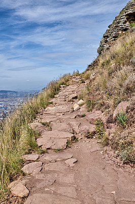 Buy stock photo Trail on Table Mountain with vibrant, beautiful nature along a path. Trees and lush green bushes growing in harmony. Peaceful soothing fresh air with stunning views of natural landscape