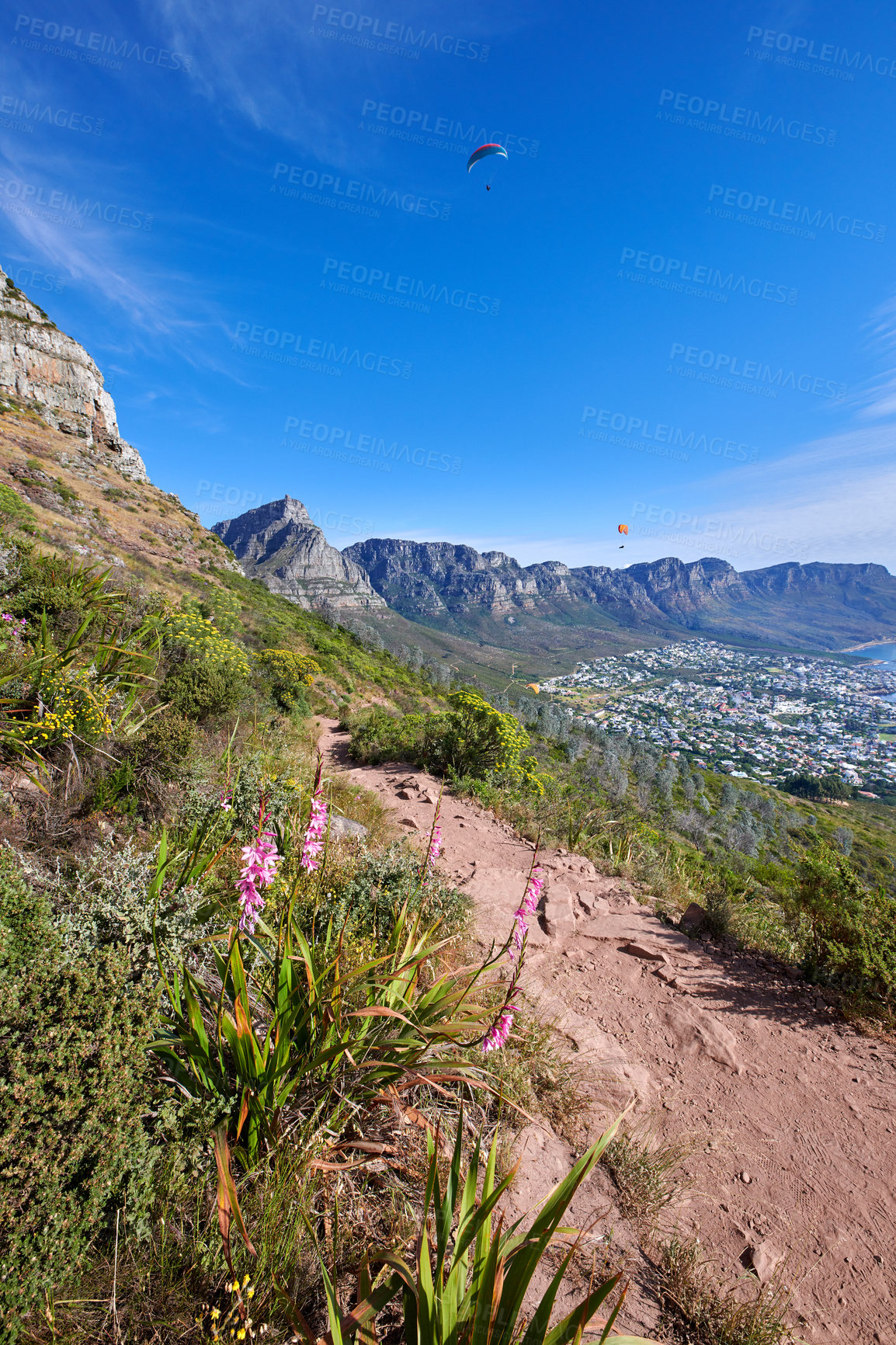 Buy stock photo Scenic mountain hiking trail near a coastal city on a sunny day. Quiet nature landscape of a rural trail or walking path with vibrant plants against a blue horizon in South Africa with copy space