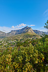 Table Mountain and surroundings  