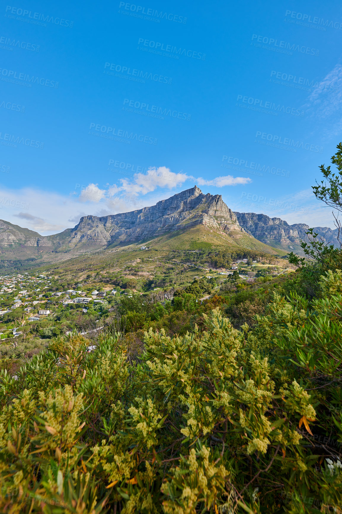 Buy stock photo Landscape scenic view of plants, greenery, and vegetation growing on a mountain in nature against a blue sky in summer. Beautiful panoramic scenery of ecology in a natural environment with copyspace
