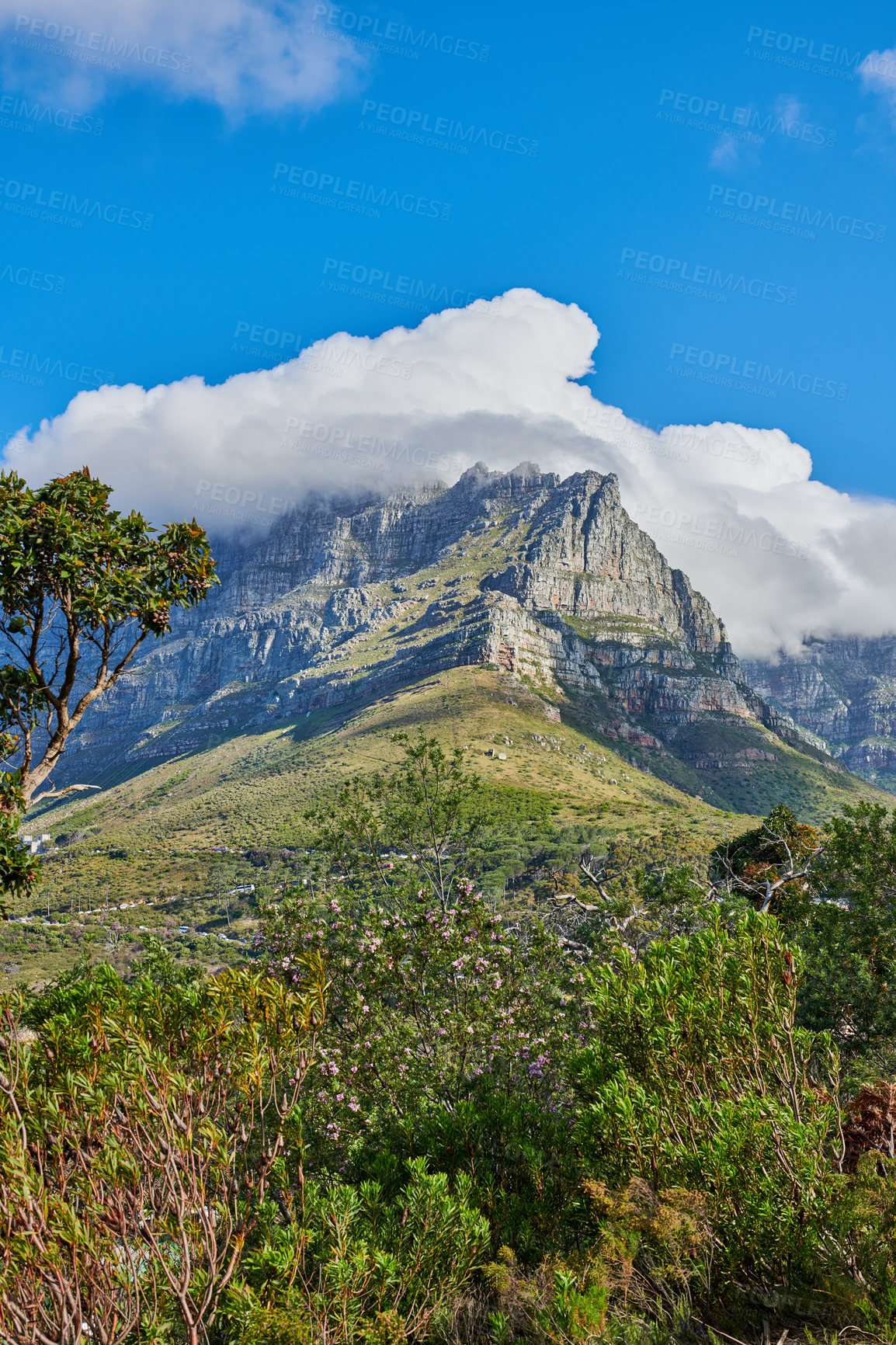 Buy stock photo Clouds on the top of Table Mountain national park in Cape Town. Rocky terrain on a sunny day with cloudy sky, peaceful nature in harmony with soothing views of plants and landscape