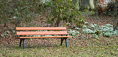 Buy stock photo Still life concept of a bench with a wooden backrest standing outside in a park on a cold winter's day. A red bench in a park in a forest isolated in a natural forest background 