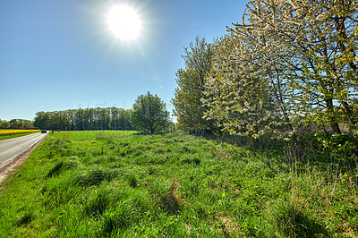 Buy stock photo Road to outdoor nature on a warm sunny day in spring. Route in beautiful adventure landscape with sun, blue sky, green grass and trees. On a highway trip in the countryside for the love of travel.