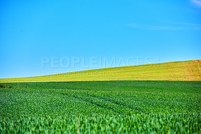 Buy stock photo Farmland in springtime - lots of copy space