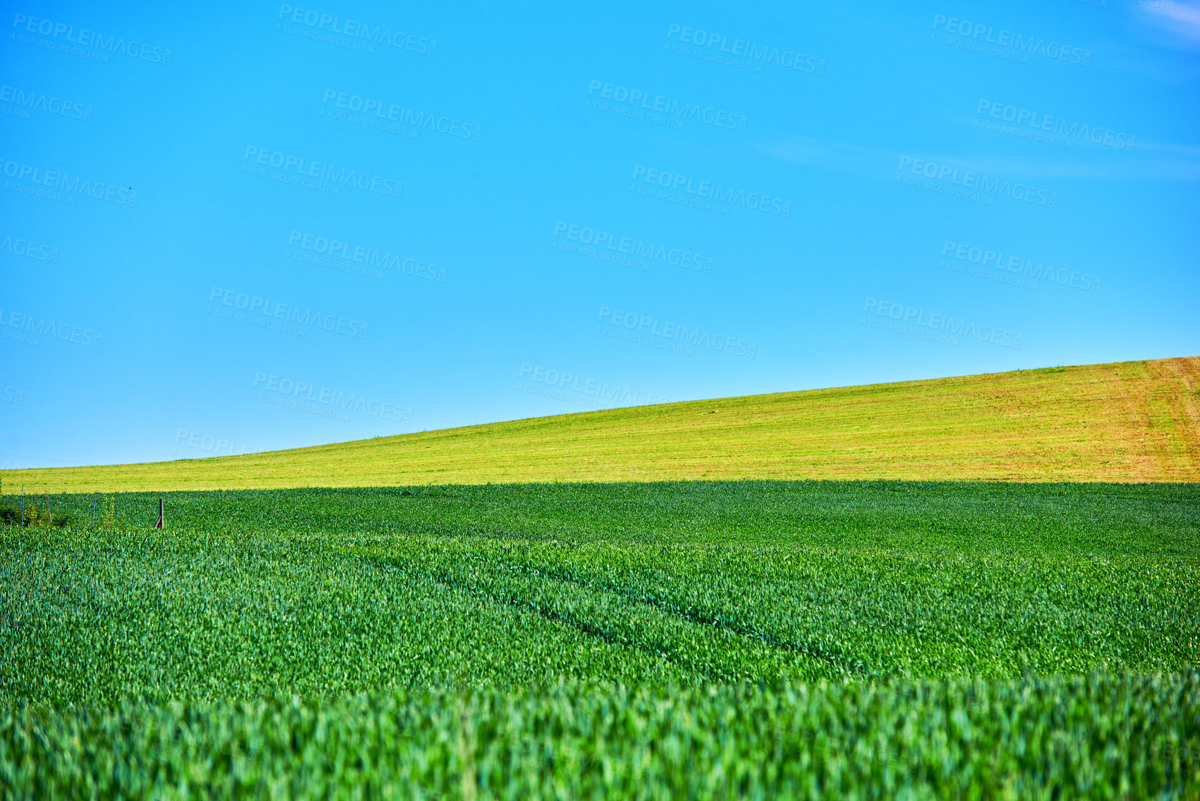 Buy stock photo Farmland in springtime - lots of copy space