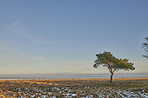 Danish Winter landscape by the coast of Kattegat