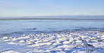 Danish Winter landscape - the coast of Kattegat