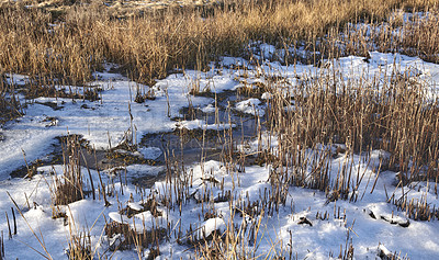 Buy stock photo Photos of Danish winter by the coast of Kattegat.