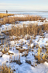 Danish Winter landscape by the coast of Kattegat