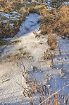 Danish Winter landscape by the coast of Kattegat