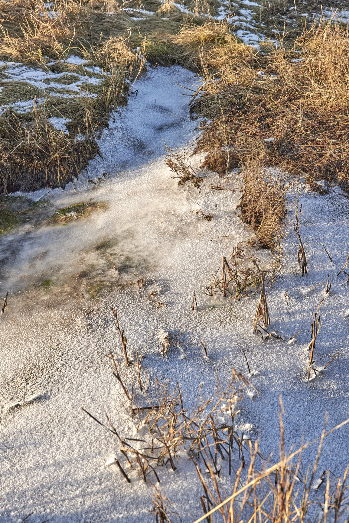 Buy stock photo Photos of Danish winter by the coast of Kattegat.