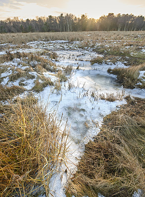 Buy stock photo Winter, trees and grass by snow in nature with growth, sustainability or environment for travel. Cold weather, frozen and ice by lawn outdoor for destination, countryside or eco friendly forest.