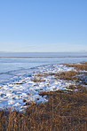 Danish Winter landscape by the coast of Kattegat