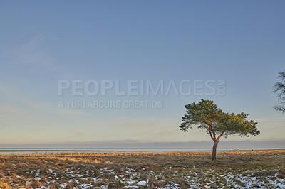 Buy stock photo Photos of Danish winter at the coast of Kattegat.