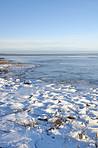 Danish Winter landscape by the coast of Kattegat