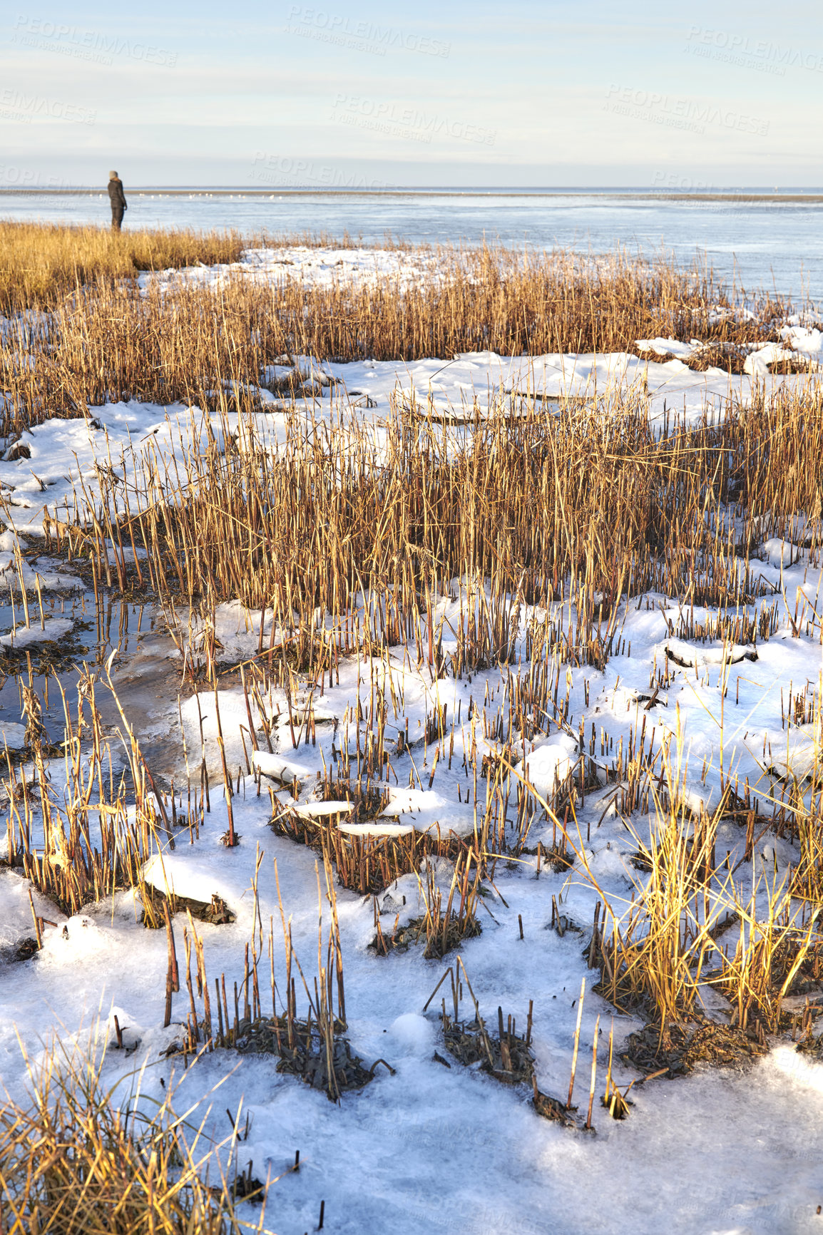 Buy stock photo Photos of Danish winter by the coast of Kattegat.