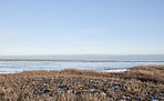 Danish Winter landscape by the coast of Kattegat