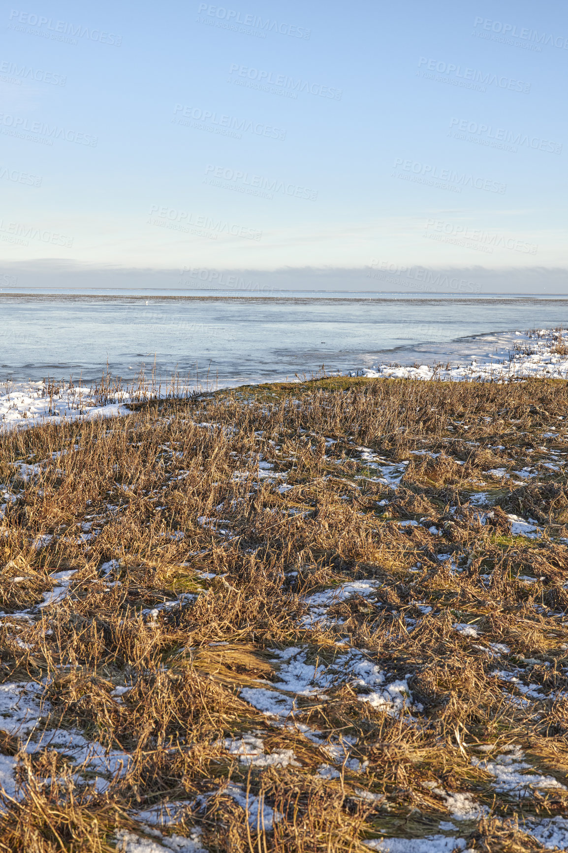 Buy stock photo Blue sky, landscape and grass by snow in nature with growth, sustainability or scenery. Cold weather, frozen and ice by lawn outdoor for destination, plants or eco friendly environment by countryside