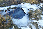 Danish Winter landscape by the coast of Kattegat