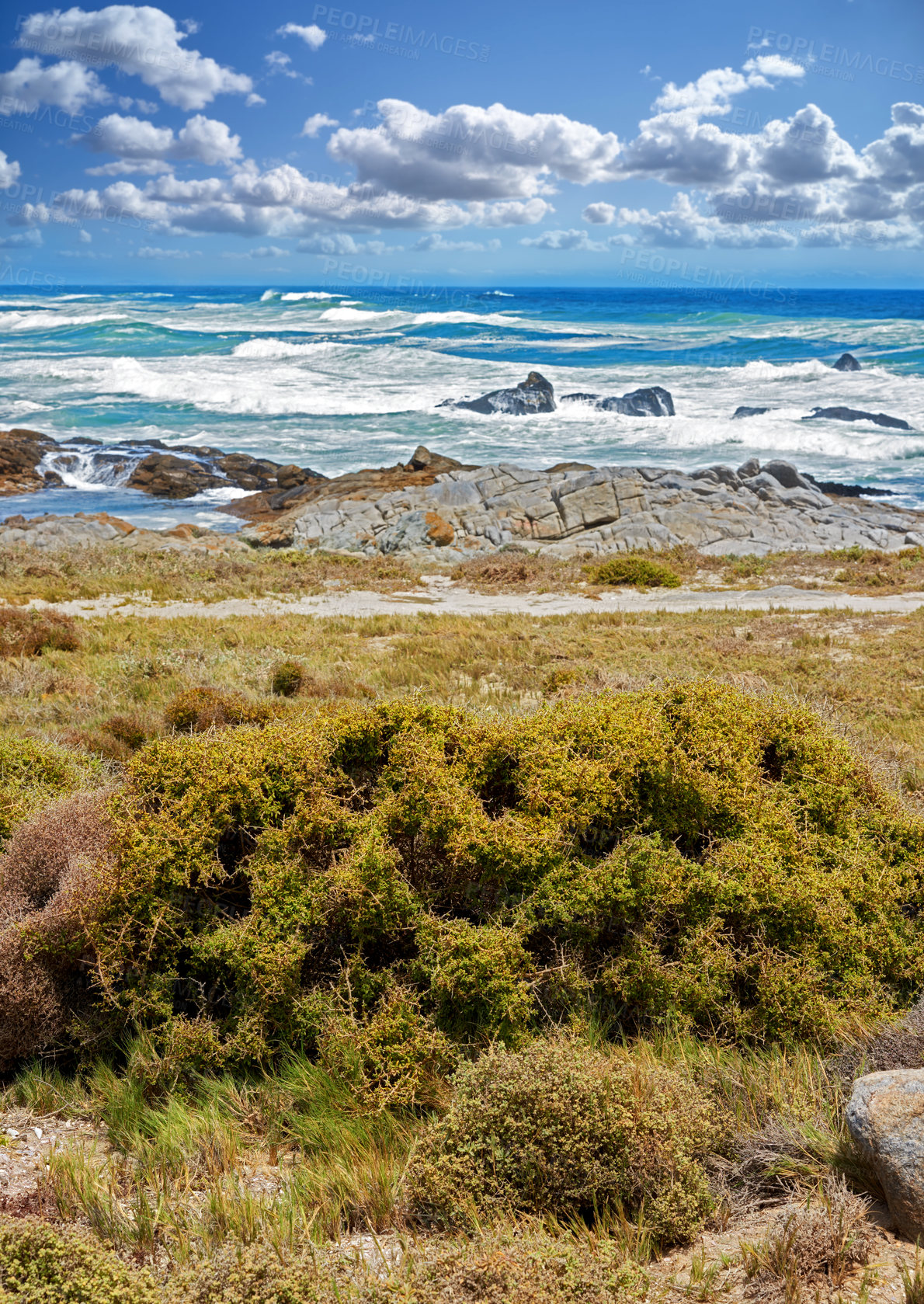 Buy stock photo Rocky coast in West Coast National Park,  Western Cape, South Africa.