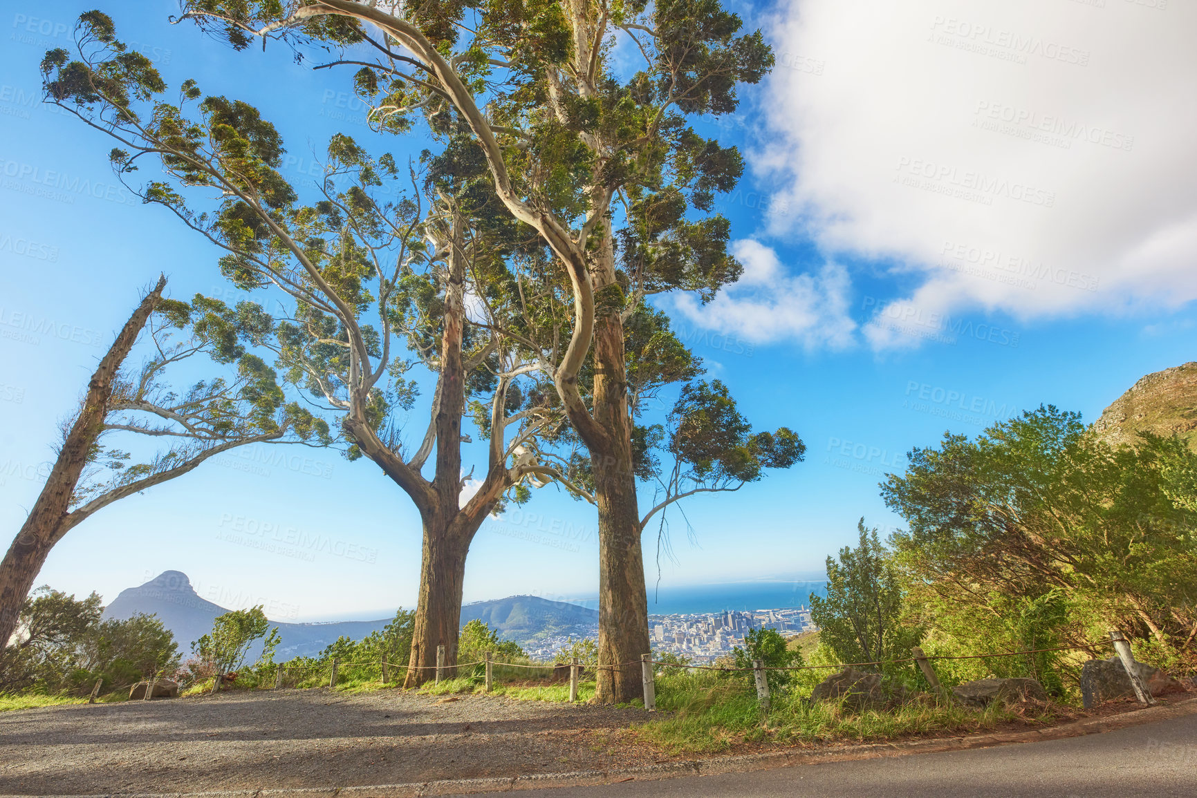 Buy stock photo Trees, plants, and vegetation along a road on a cliff in nature against a cloudy blue sky. Panoramic, scenic, and banner view of greenery on a beautiful street overlooking the city in summer