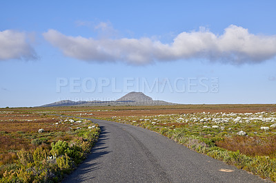 Buy stock photo Road through the wilderness of Cape Point National Park, Western Cape, South Africa