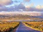 The wilderness of Cape Point National Park