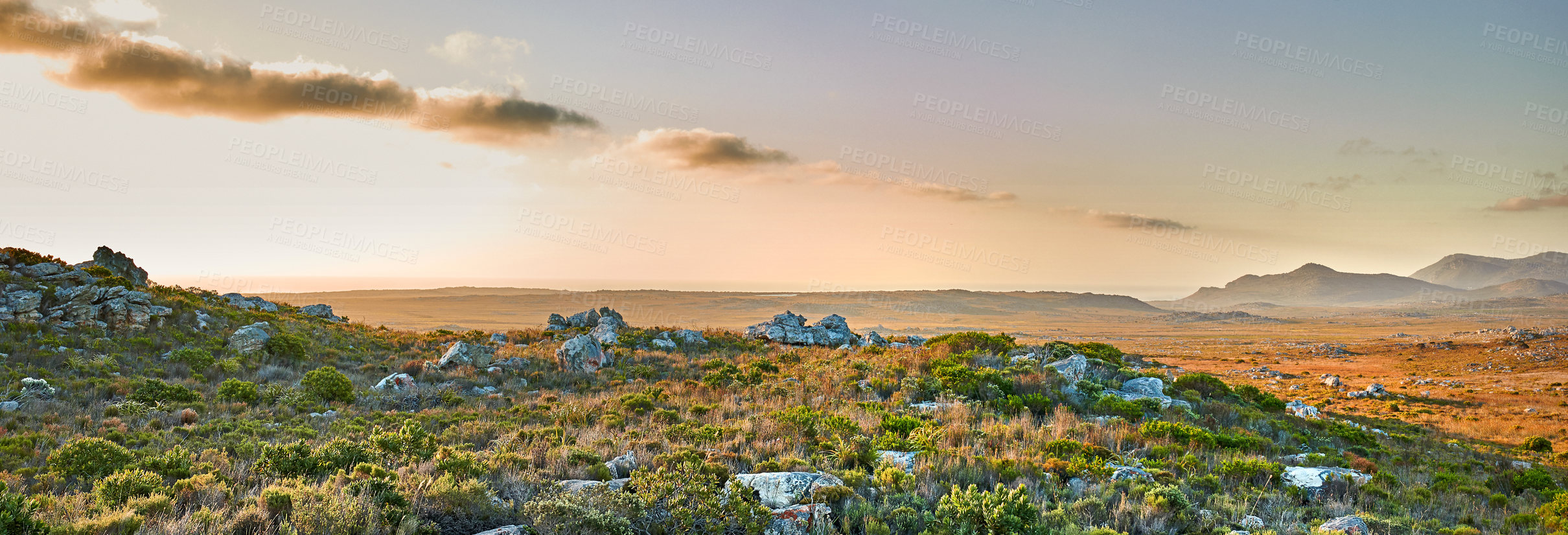 Buy stock photo The wilderness of Cape Point National Park, Western Cape, South Africa