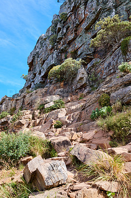 Buy stock photo Rocky trail on a mountain with plants and grass against clear blue sky. Mysterious path or steps leading up to a summit or peak. Low angle of rough and dangerous terrain in remote location in nature