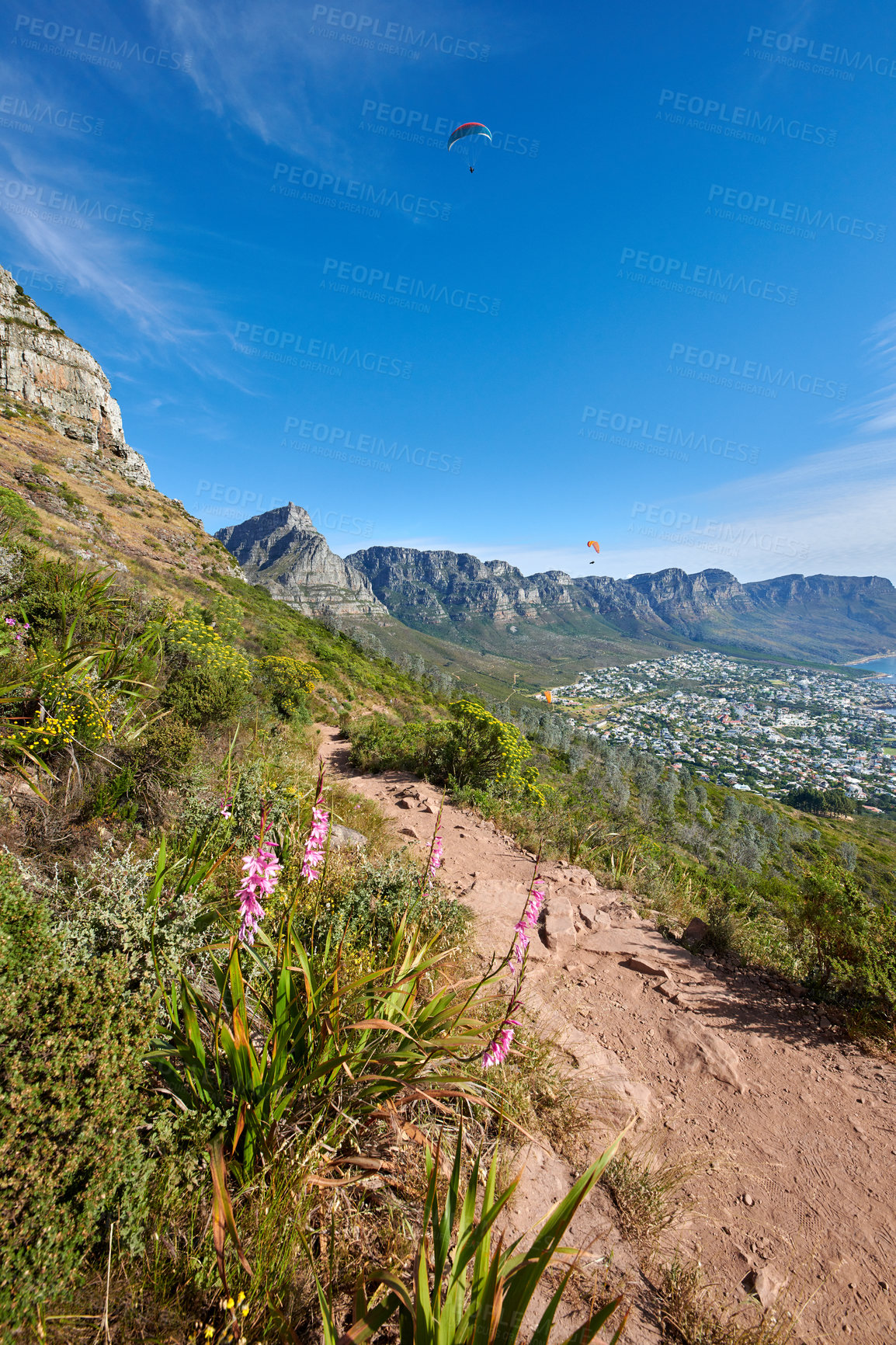 Buy stock photo Exploring scenic mountain hiking trail on summer day with active adrenaline activity. Landscape view of path leading to peaceful coastal city on Table Mountain National Park, Cape Town, South Africa.