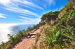 Mountain trails - Lion's Head and Table Mountaion