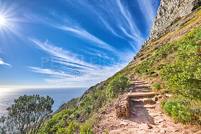 Buy stock photo Trail on rocky landscape on Table Mountain in sunny Cape Town, South Africa. Lush green trees and bushes growing against a blue sky background. Relaxing, soothing views from a mountain peak 